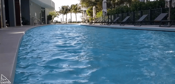 Relaxing Pool in Miami, FL